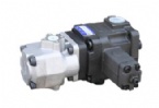 High and low pressure combination pumps