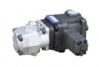 High and low pressure combination pumps